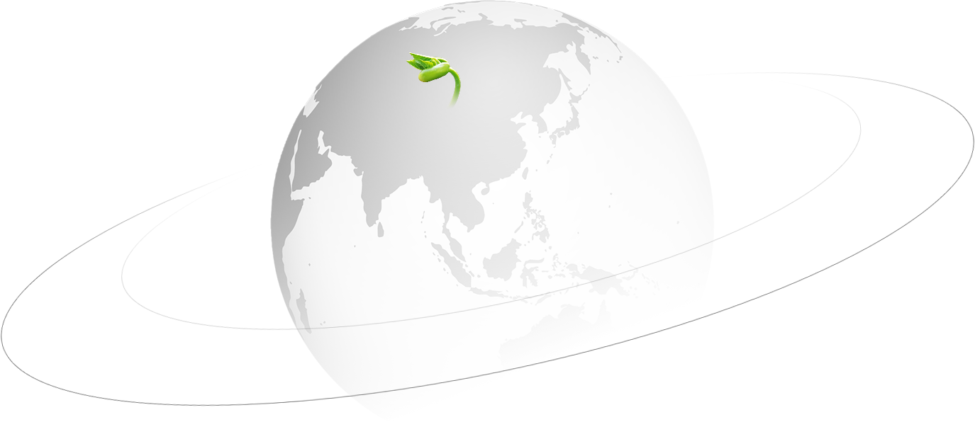 Công ty TNHH Đường ống Zheyi (Vũ Hán), Ltd.
